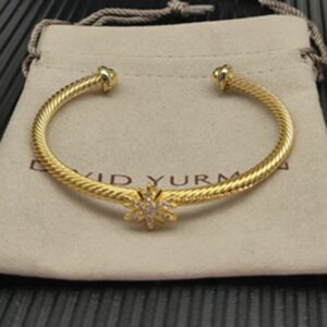 New Arrival David Yurman Bangle 334