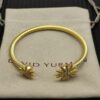 New Arrival David Yurman Bangle 311
