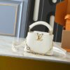 Luxury LV Handbag M12098.3