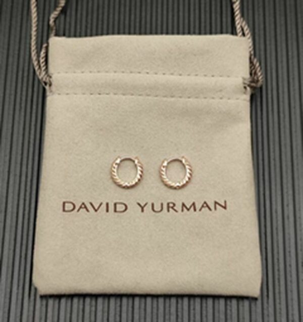 New Fashion David Yurman Earring 123