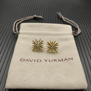 New Fashion David Yurman Earring 101
