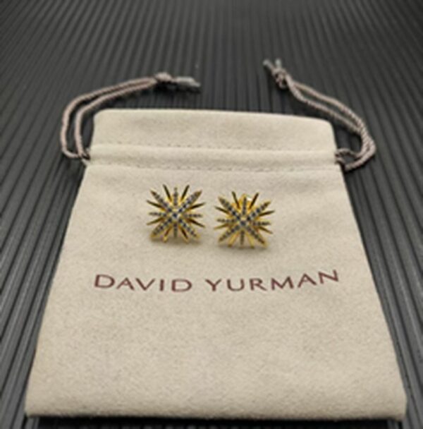 New Fashion David Yurman Earring 101