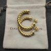 New Fashion David Yurman Earring 083