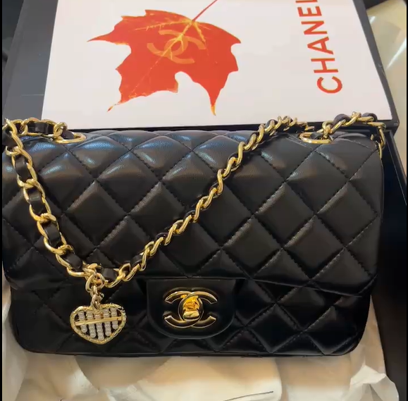 New Collection Fashion Bag C4073 New Collection Fashion Bag C4073