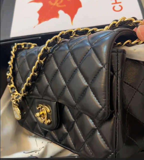 New Collection Fashion Bag C4073 New Collection Fashion Bag C4073