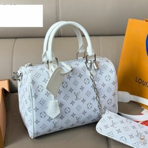Daily Street Style LV Handbag L1061.1 QA