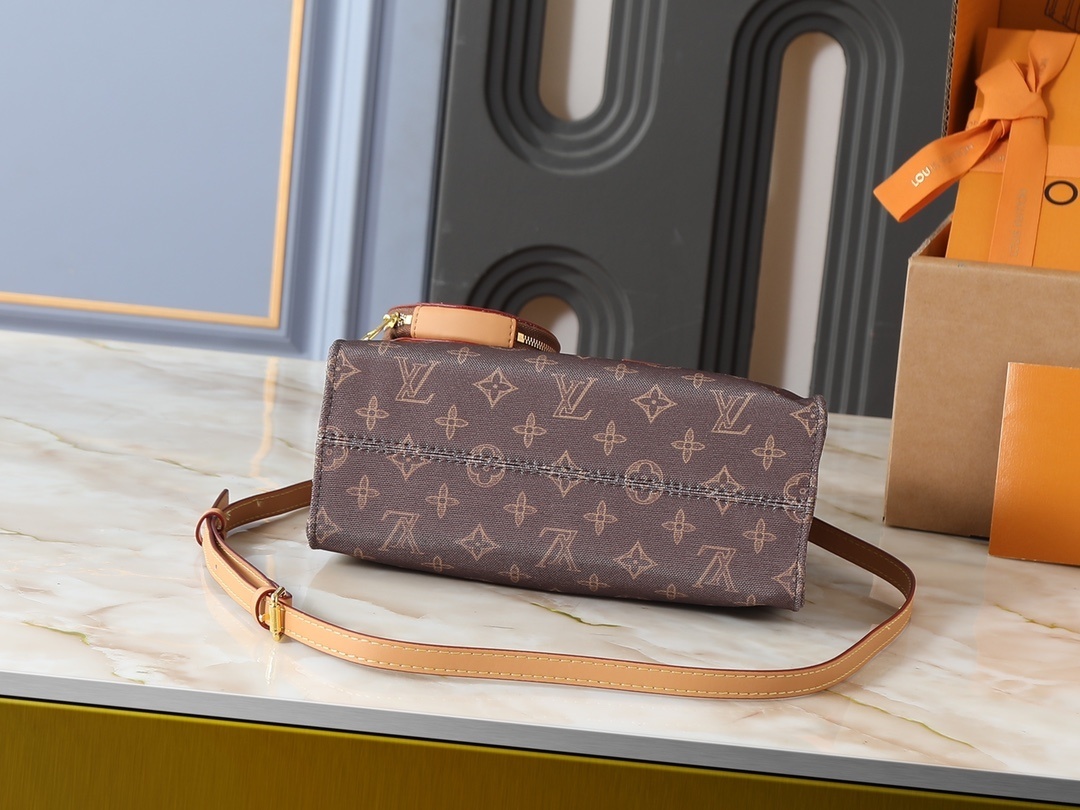 Luxury LV Handbag M28289-M45659-M44571 Luxury LV Handbag M28289-M45659-M44571