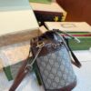 New Collection Fashion Bag GG Mini Ophidia Bucket Bag GG311