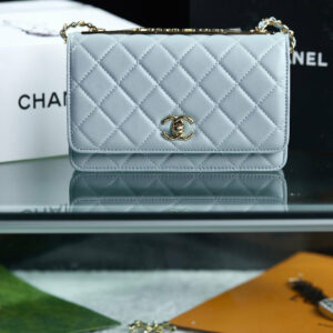 New Collection Fashion Bag C4073-1