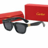 GG Tortoiseshell Sunglasses S35123
