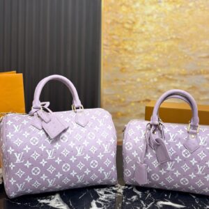 Daily Street Style LV Handbag LV265192