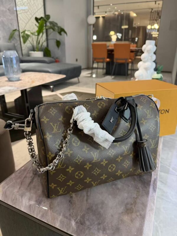 LV Speedy Soft 30 Dark Monogram L5466 TEN