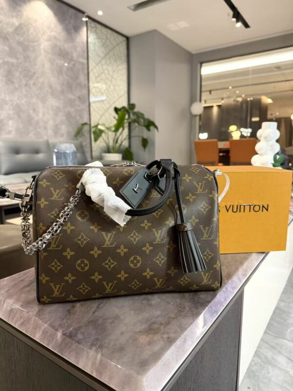 LV Speedy Soft 30 Dark Monogram L5466 TEN