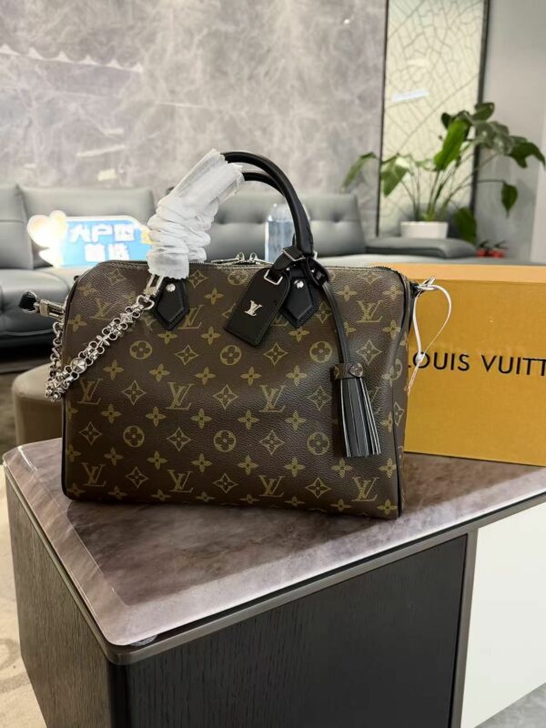 LV Speedy Soft 30 Dark Monogram L5466 TEN