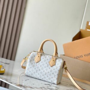 LV Nano Speedy Grey Monogram Denim Bag