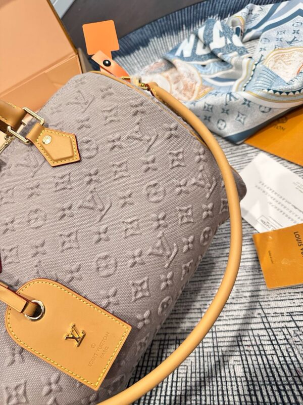 Daily Street Style LV Handbag LV266161 QA