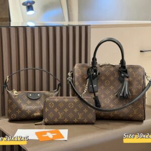 LV Speedy Soft 30 Dark Monogram Canvas Bag C2301350