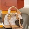 Daily Street Style LV Handbag LV266303