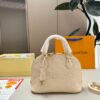 Daily Street Style LV Handbag LV266161