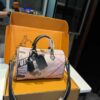LV Lock & Go East West Bag