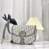 CEL Sling Shoulder Triomphe Bag