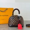 Daily Street Style LV Handbag DLV5 QA