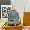 Daily Street Style LV Handbag DLV2 QA