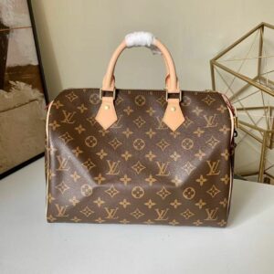 LV Speedy Bandoulière 30 in Monogram Canvas