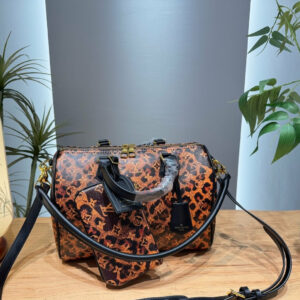LV Speedy Bandoulière Bag 99945 QA